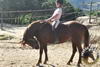 initiation-poney-cote-azur