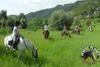 promenade-equestre-berre-les-alpes