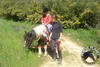 promenade-equitation-cote-azur