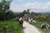 randonnees-cheval-berre-les-alpes