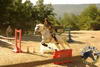 sport-equitation-cote-azur