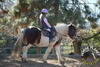 tourisme-poney-cote-azur